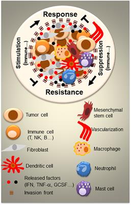 Editorial: Tumor Microenvironment and Resistance to Current Therapies